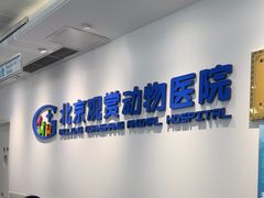 -北京观赏动物医院·24小时大型综合·猫专科·异宠专科
