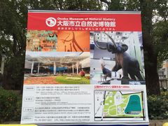 -大阪市立自然史博物馆