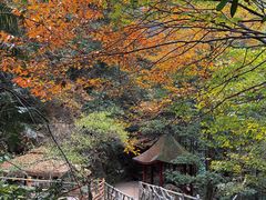 -太湖源风景区