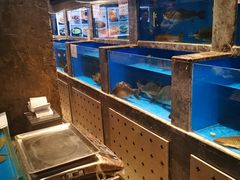 水产区-百富源·海鲜辽菜(和平北大街店)