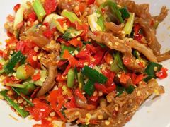 鸭掌筋-壹盏灯(惠农店)