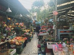 -曲阳花鸟市场(曲阳路店)