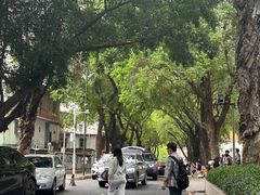 -光明刘冰乳鸽店(光明法政北路店)