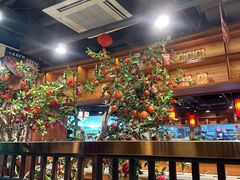 -阳坊胜利涮羊肉(禧乐汇店)