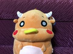 -天空之城动漫电玩世界(路劲又一城店)