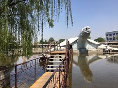 -东方巨龟苑景区