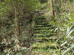 -宁波五龙潭景区