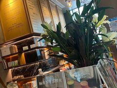 -THE WOODS 简餐 (国贸商城店)