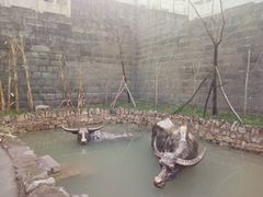 -燊海井