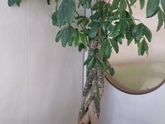 -李先生牛肉面大王(华联商厦店)