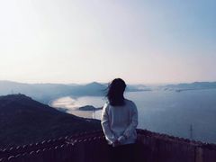 -枸杞岛