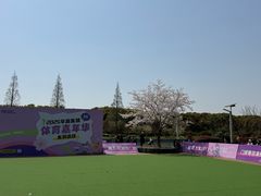-高东镇樱花园