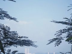 -长洲岛