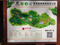 -西双版纳原始森林公园