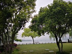 -杭州西湖柳莺里酒店·闻莺厅