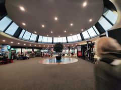 -纽瓦克自由国际机场