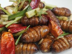 -南山鲜虾面·活鲜小馆·海味大连菜(南山总店)