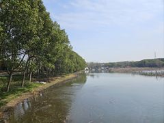-同里国家湿地公园