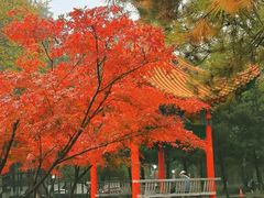 -陕西师范大学(雁塔校区)