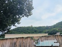 -小时光咖啡馆(开森度假森林店)