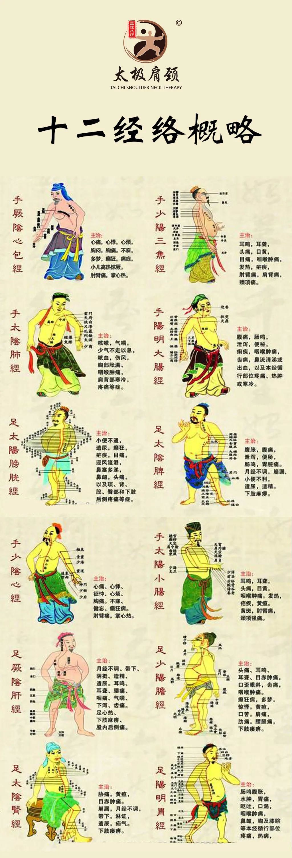 十二经络你了解吗