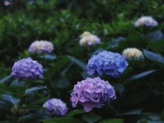 -常州古运河南大街文化旅游区-人民公园