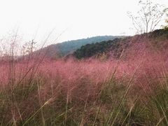 -南京市无想山景区