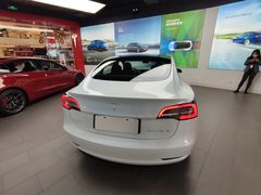 -TESLA 特斯拉(郑州正弘城体验店)