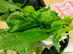-新辣道鱼火锅(领展购物广场·中关村店)
