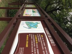 -重庆彩云湖湿地公园