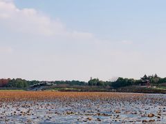 -上海海湾国家森林公园