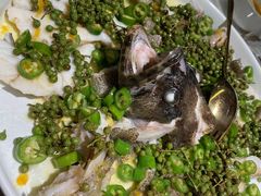 青青椒麻龙胆鱼-CHIC1699远洋私厨
