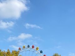 -上海野生动物园