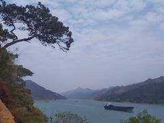-羚羊峡古栈道森林公园
