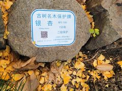 -秋霞圃