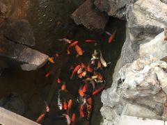 -森谷美食公园(杨行店)