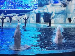 -福州罗源湾海洋世界旅游区