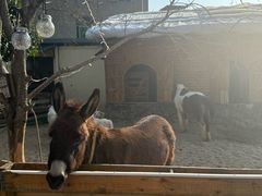 -HERRE·FARM 赫尔露营农场·团建聚会包场