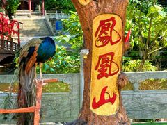 -丹东凤凰山景区