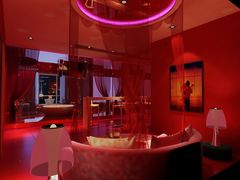 一帘幽梦-天鹅恋主题酒店(光谷广场步行街店)