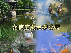 -三里河公园