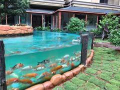 -忆江南·临江鱼馆