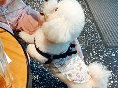 -Moka Bros 摩卡站(嘉华店)