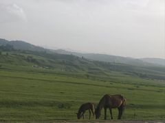 -新疆那拉提国家旅游度假区