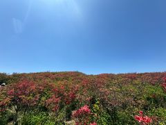 -大围山国家森林公园