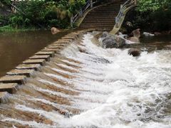 -海南热带雨林国家公园吊罗山景区