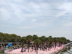 -苏州太湖西山岛开心农场
