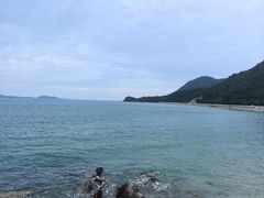 -杨梅坑