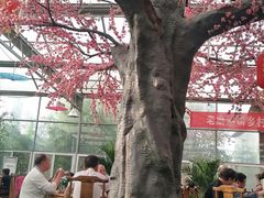 -老磨油饼(高陵店)