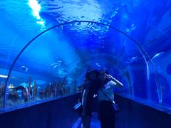 -成都浩海立方海洋公园